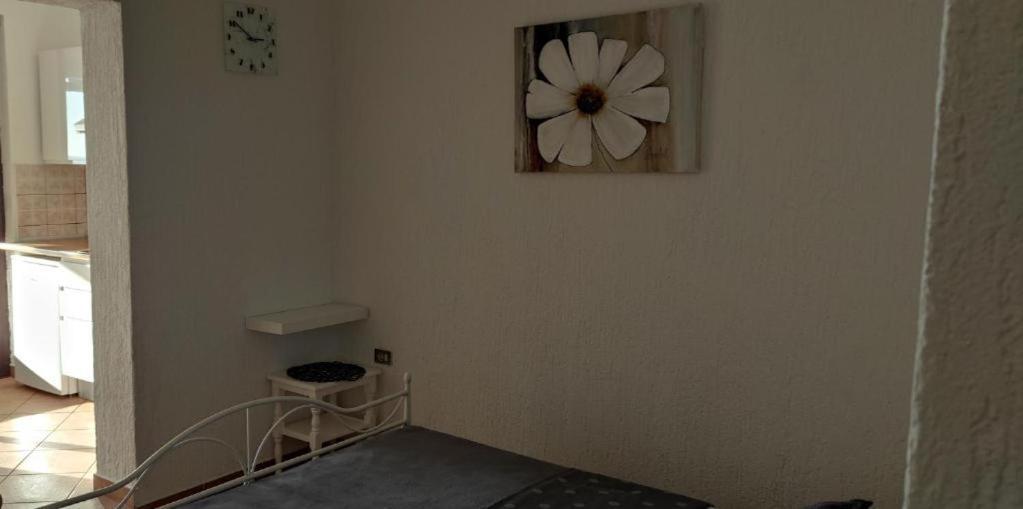 Mali Delfin Apartment Sveti Juraj Exterior photo