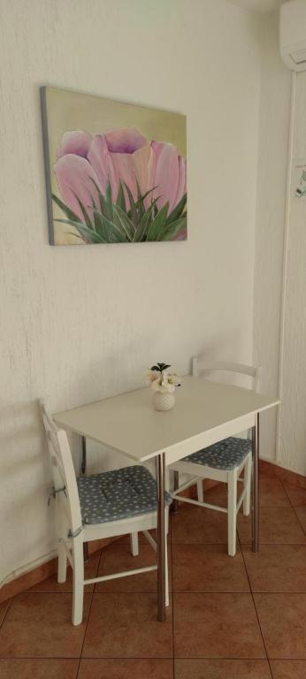 Mali Delfin Apartment Sveti Juraj Exterior photo